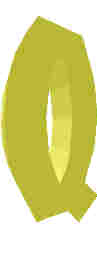 81.JPG