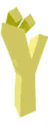 255.JPG