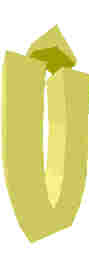 251.JPG