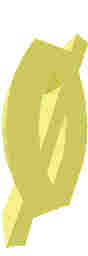 248.JPG