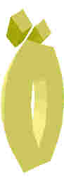 246.JPG