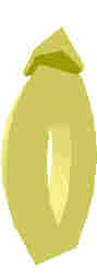 244.JPG