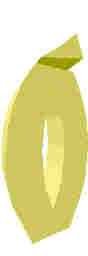 243.JPG