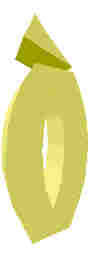 242.JPG
