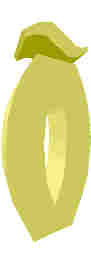 213.JPG