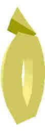 210.JPG