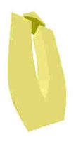 251.JPG