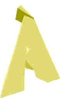 224.JPG