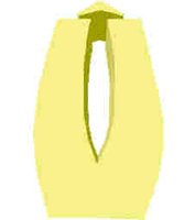 251.JPG