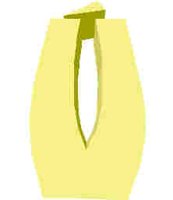 250.JPG