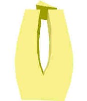 249.JPG