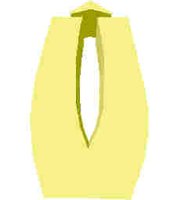 219.JPG