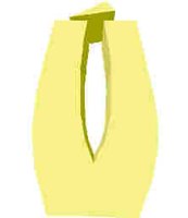 218.JPG