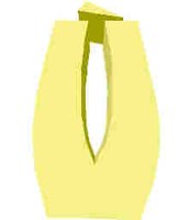 217.JPG