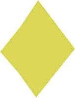 46.JPG