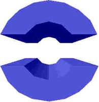 176.JPG