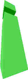 161.JPG