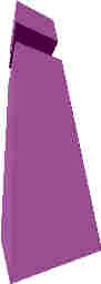 161.JPG