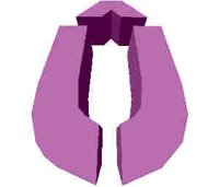 251.JPG
