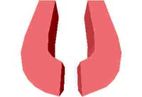 85.JPG