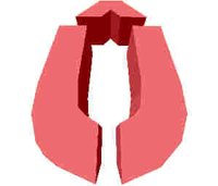 251.JPG