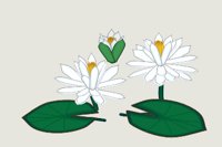 LOTUS.WMF