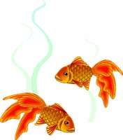 GLDFISH2.WMF
