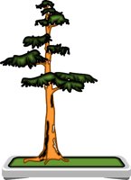 BONSAI2.WMF