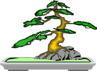 BONSAI1.WMF