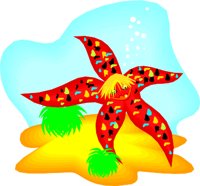 STARFISH.WMF