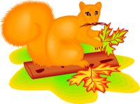 SQUIRREL.WMF