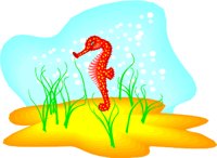 SEAHORSE.WMF