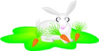RABBIT.WMF