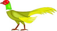PHEASANT.WMF