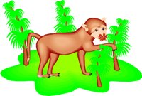 MONKEY.WMF