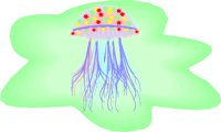 MEDUSE.WMF