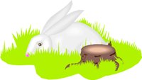 HARE.WMF