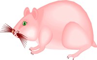 HAMSTER.WMF
