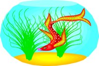 FISH1.WMF
