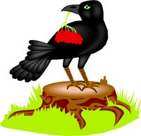 CROW.WMF