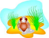 CRAB.WMF