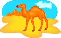CAMEL1.WMF