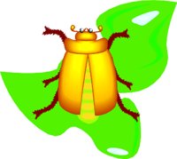 BEETLE.WMF