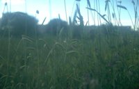 P052.JPG