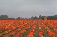 58_158.JPG