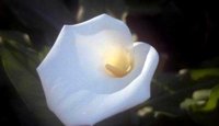 73_138.JPG