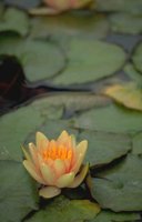 069_135.JPG