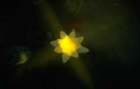 060_180.JPG