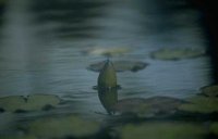 052_180.JPG