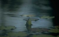 050_180.JPG